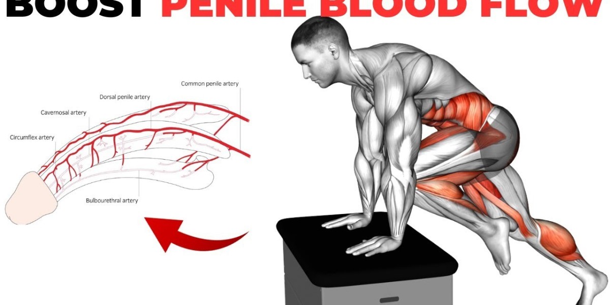 How to Increase Blood Flow to the Penis?